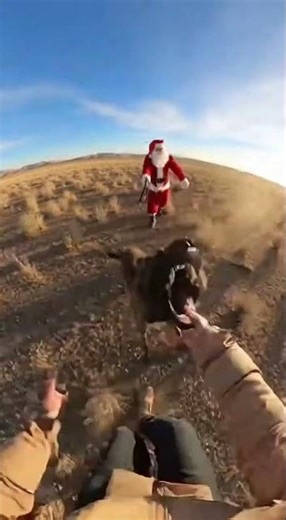 POV: Santa’s Dog Runs First… Santa FOLLOWS 💀🎅 #viral #pitbull #animals #horror #wildlife #scary