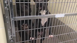 29 reactions · 157 shares | No longer listed Please contact the...