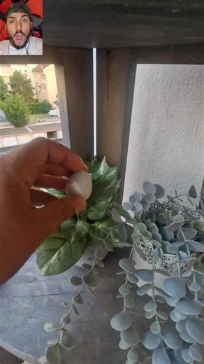 Explore Creative Collages: Unique Ideas for You