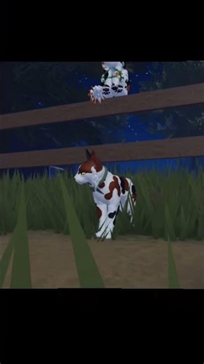 Two birds on a wire! M #collab #‪@AbigailEditsOfficial‬