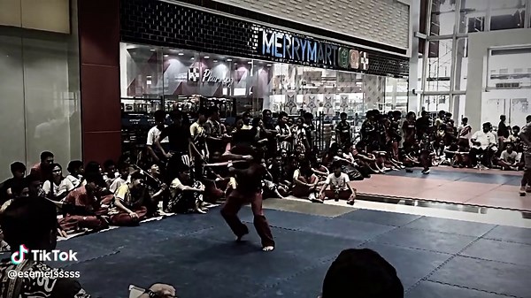 Arnis Martial Arts Techniques and Sparring Highlights