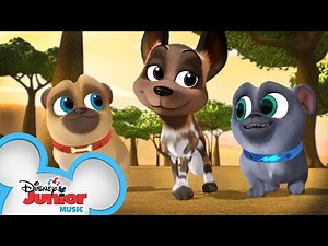 Okavango Odyssey | Music Video | Puppy Dog Pals | Disney Junior