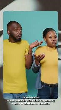 Ciencia en 1 minuto: Cromosomas en modo avión