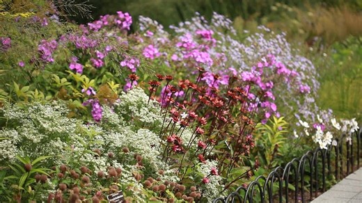 AI for Science and Design of Ecosystems