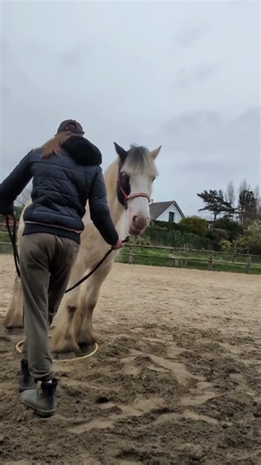 The goal is to enter an equifeel competition this summer!