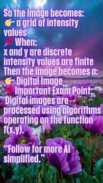 What is fx,y in Digital Images Mathematical Model Explained