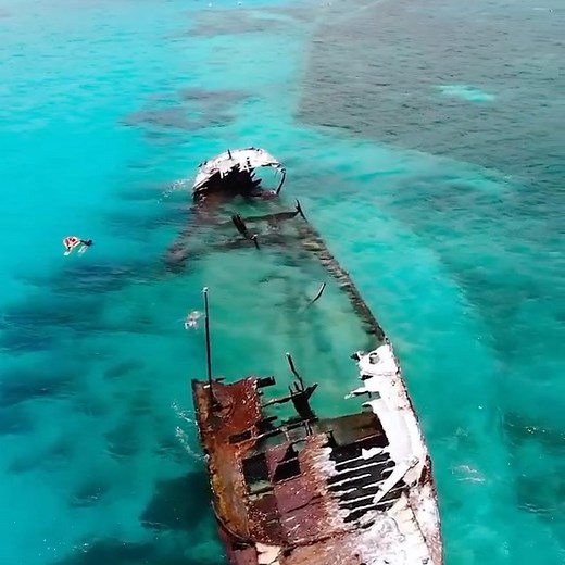 PADI on Instagram: "The HMAS Protector wreck in Heron Island looks like a freedivers paradise 😍 📹: @_markfitz @gladstoneregion @heronisland"