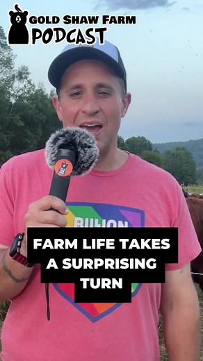 Gold Shaw Farm on TikTok