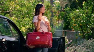 Ross TV Commercial For Luggage