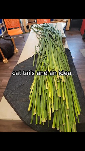 Crafting Cat Tail Plants into Beautiful Mats | Weaving TikTok