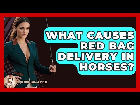 What Causes Red Bag Delivery In Horses? - The Horses Stable