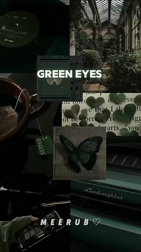 Guess The Character🫀💚 I think Guess krna thora muskhil hoga.#Meerub #novels #fypシ゚viral