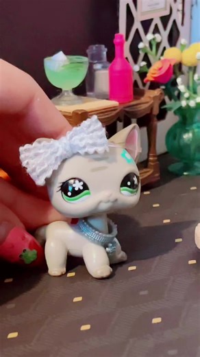 GUYSS i finally got stuff for the giveaway all together im so so excited coming in the next few days 🥰🙈 #lpstiktok #lpscollection #lpstoker #fypシ #lpsskit