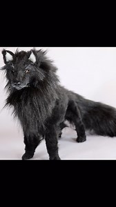 Black wolf commission artdoll. #wolf #artist #artdoll #artdollmaker #poseableartdoll #fauxtaxidermy | Creatures of Nat