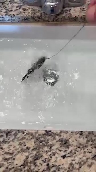 ✨Bionic Swimming Lure