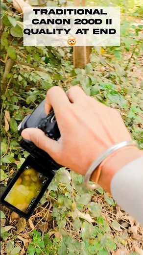 Canon 200D II 🤯 Traditional Photoshoot Quality test #dslr #canon200dmarkii #holi2025 #photography