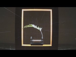 This DEVICE Slows Down Time!!? Slow Dance - Unboxing/Review