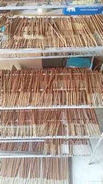 Tra My Cinnamon: The Secret to the World's Finest Natural Incense 🪵✨