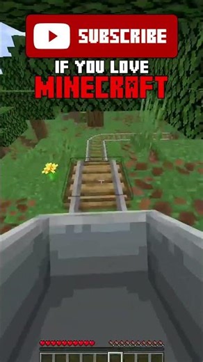 Down the Mountain!!!