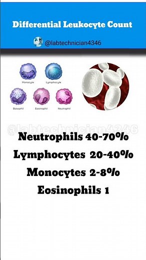 DLC full form|Differential Leukocyte Count|DLC normal range|CBC|DLC parameters #new #biology #neet