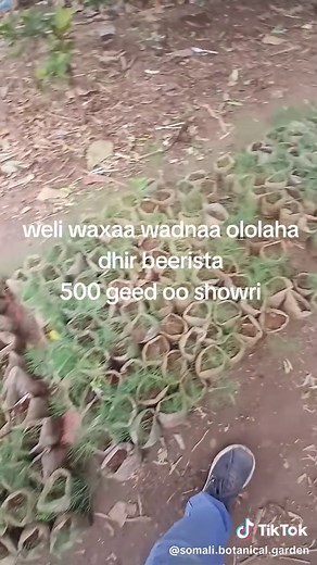 Somali Botanical Garden على TikTok