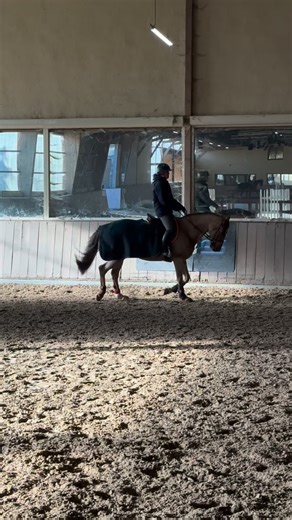Théodora Ivanov on Instagram: "Pour un premier cours de dressage avec @alizeewauthier le travail semble déjà très productif. Durant toute la séance, Félix est très à l’écoute de mes demandes je parviens à effectuer des départs au galop francs. Niveau impulsion, même si Félix démontre une belle activité naturelle, on doit toutefois travailler son impulsion pour qu’il puisse davantage engager ses postérieurs. Alizée a insisté sur le fait de « rendre » et de rester « relax ». Chose pas simple pour 