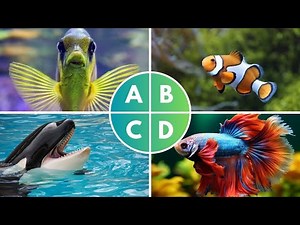 ABC | Sea Animals for Kids | Learn Alphabet from A to Z | Leaning Videos