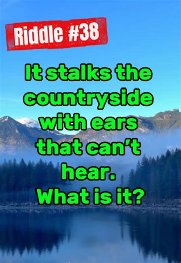 #Riddle38 Can you solve this riddle? 🤔 Guesses in the comments 👇 #riddle #riddles #brainteaser #quiz #