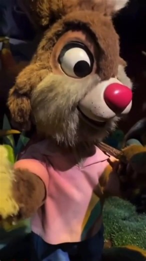 Great Footage of Splash Mountain Evacuations (Disneyland)