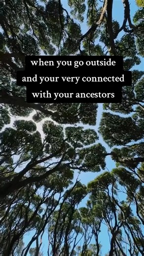 When you go outside and you're very connected with your ancestors 🖤 #NaturesWitch #Witchtok #SpiritualReel #AncestralMagic #AncestralConnection #ForestMagic #CrowMagic #EarthWitch #WitchcraftReels #NatureSpirits #PagansOfFacebook #WitchLife #EnergyWork #DivineFeminineEnergy #MysticVibes #HealingJourney #GroundingEnergy #NatureLovers #FYP #ReelsChallenge #fypシ゚viralシ #fypシ゚viralシfypシ゚viralシalシ #reelsfbシ #facebookreels #spiritualtiktok #reelsfacebook #fypviralシ #fypシ #foryoupageシ #reelschallenge 