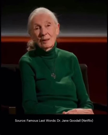Jane Goodall’s final message from her last interview #janegoodall #interview #netflix | Dream for America