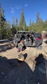 Wild Sierra Sunday . chapter one . Part 1 . 251130 . #jonenos8