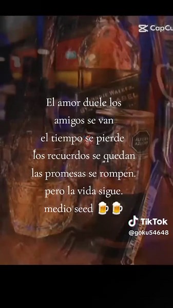 Discover the Beauty of Horses in Diverse Settings