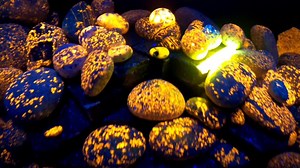 1.2K views · 40 reactions | Testing out the low light settings on my new GoPro. I think it will be great for making night time Yooperlites videos! | Yooperlites | Facebook