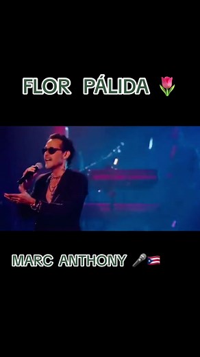 Marc Anthony - Flor Pálida: Salsa Concert Performance