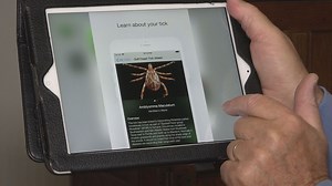 Maine-developed app identifies tick species
