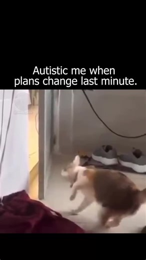 mildly_auto on Instagram: "Okay, seems like I will perish now...  how do you deal with unexpected changes? Follow @mildly_auto for more relatable neurodivergent memes 易 100% original, no reposts! #autism #adhd #meme #trauma #change #stress"