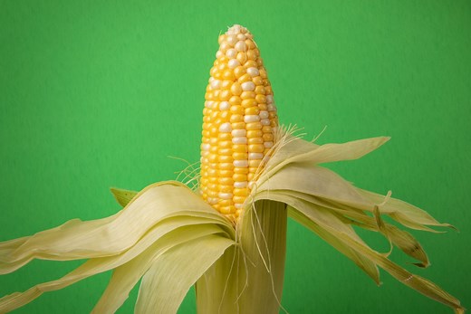 Is Corn a Vegetable, a Grain or a Fruit?