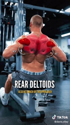 How to use the correct arm angle 👌🏼 #bodybuilding #back #backworkout #upperback #lats #reardelts #traps #fitnesstips #fitness #gym #davisdiley