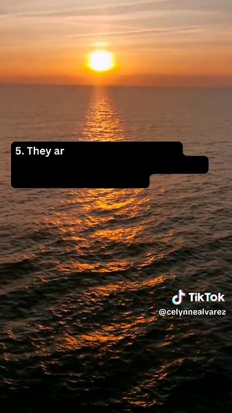 Celynne Alvarez on TikTok