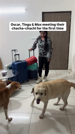 Dogs Meeting Their Chacha–Chachi for the First Time 🐶❤️ #Shorts #oscarwonderpup