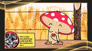 15 reactions | The #DaytimeEmmys Award for Outstanding Main Title and Graphic Design goes to Down to Earth with Zac Efron (Netflix). | Daytime Emmys | Facebook