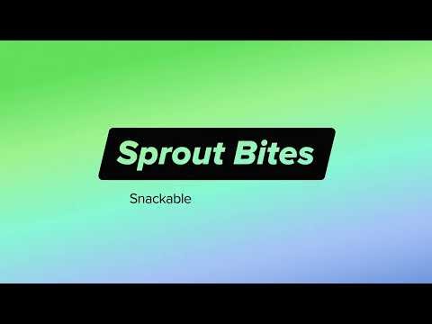 How to Find Reporting Resources in Sprout Social | Sprout Bites