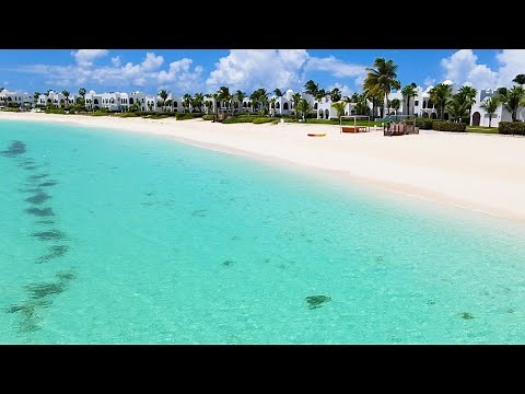 Sunshine Therapy: 3 Hours of Calm From The Best Beach in the World (4K Tropical Drone Video)