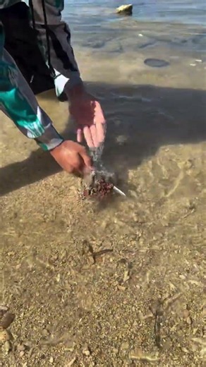 Pani Ke Neeche Chupa Hua Ajooba! 🌊🐚 | Amazing Deep Sea Discovery