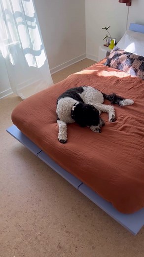 Discover the Benefits of Cork Flooring with Granorte | Sustainable & Easy to Install