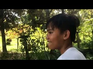 Performance Task in MAPEH-Grade 7 Salcedo-Moro Moro