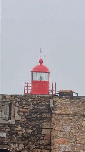 Nazaré Portugal place with the biggest waves in the world #surf #bigwaves #nazareqsa #portugal