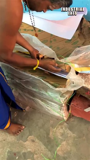 ‎مصنع بكرات||Factory reels‎ on Instagram: "How Notebooks Are Made: From Paper Roll to Packed Product The journey of a school notebook from a paper roll to a finished product is an automated process with several precise stages. Core Stages of Production: 1. Printing Lines & Cutting Pages: Paper from large rolls passes through a ruling machine, printing blue or purple lines, squares, and margins on both sides. The continuous paper web is then cut into individual sheets. 2. Printing the Cover: In a