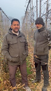 40K views · 481 reactions | Mega PRUNING CAMP on 5-12-2024 Thursday at 11 am .Venue -Hi-Five Agro Skills. | Hi-Five Agro Skills | Facebook